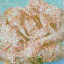 Achicoria rosa